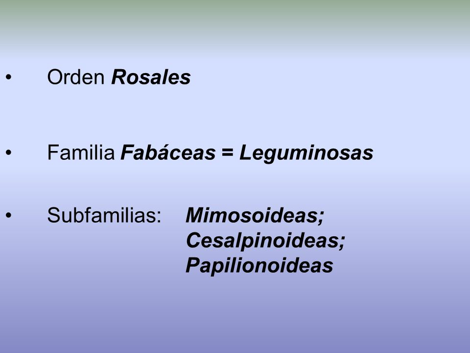 Informacion sobre la familia de las leguminosas